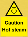 caution-hot-steam~